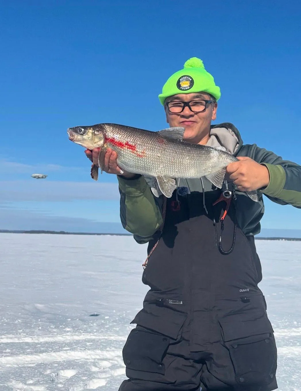 Young ice fishing, holding a whitefish.